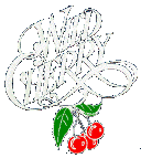 Wild Cherry